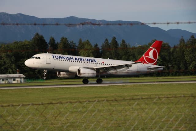 土耳其航空turkish airline